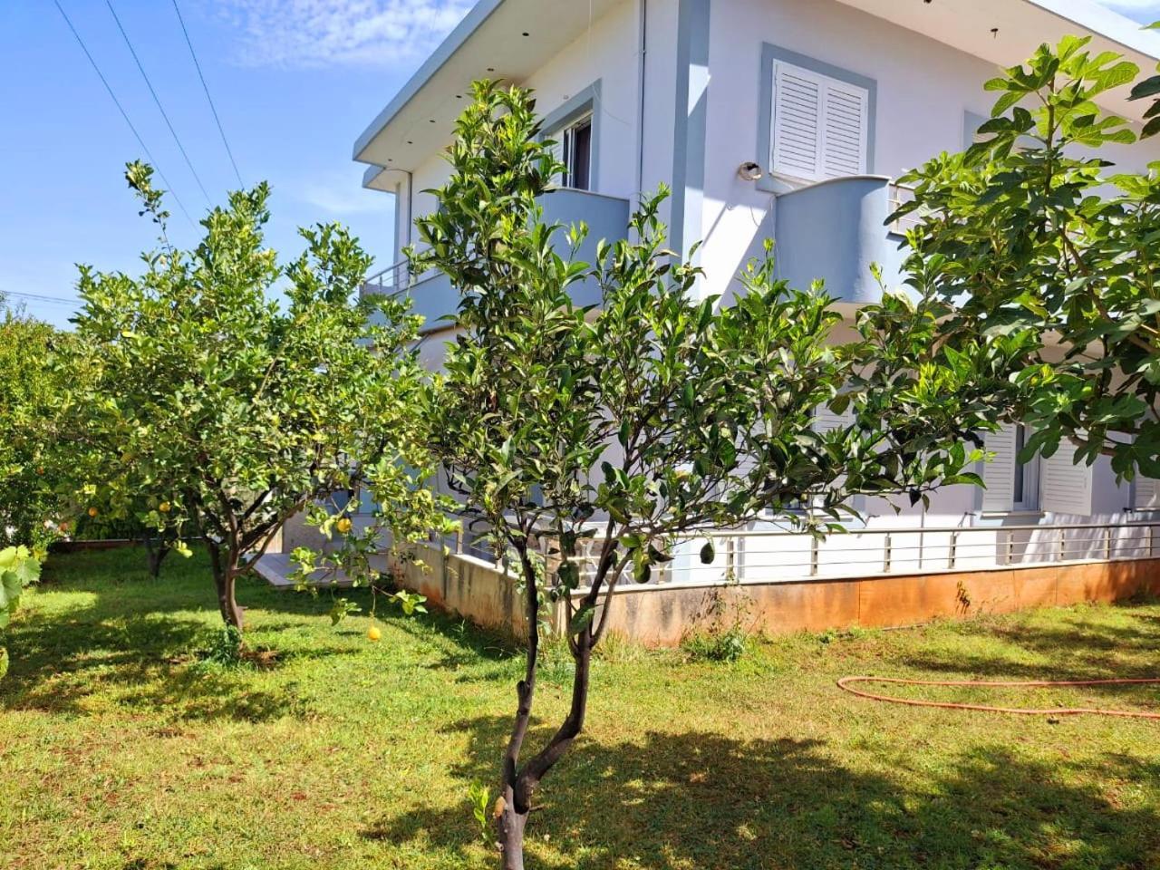 Myksamil Apartments Room photo