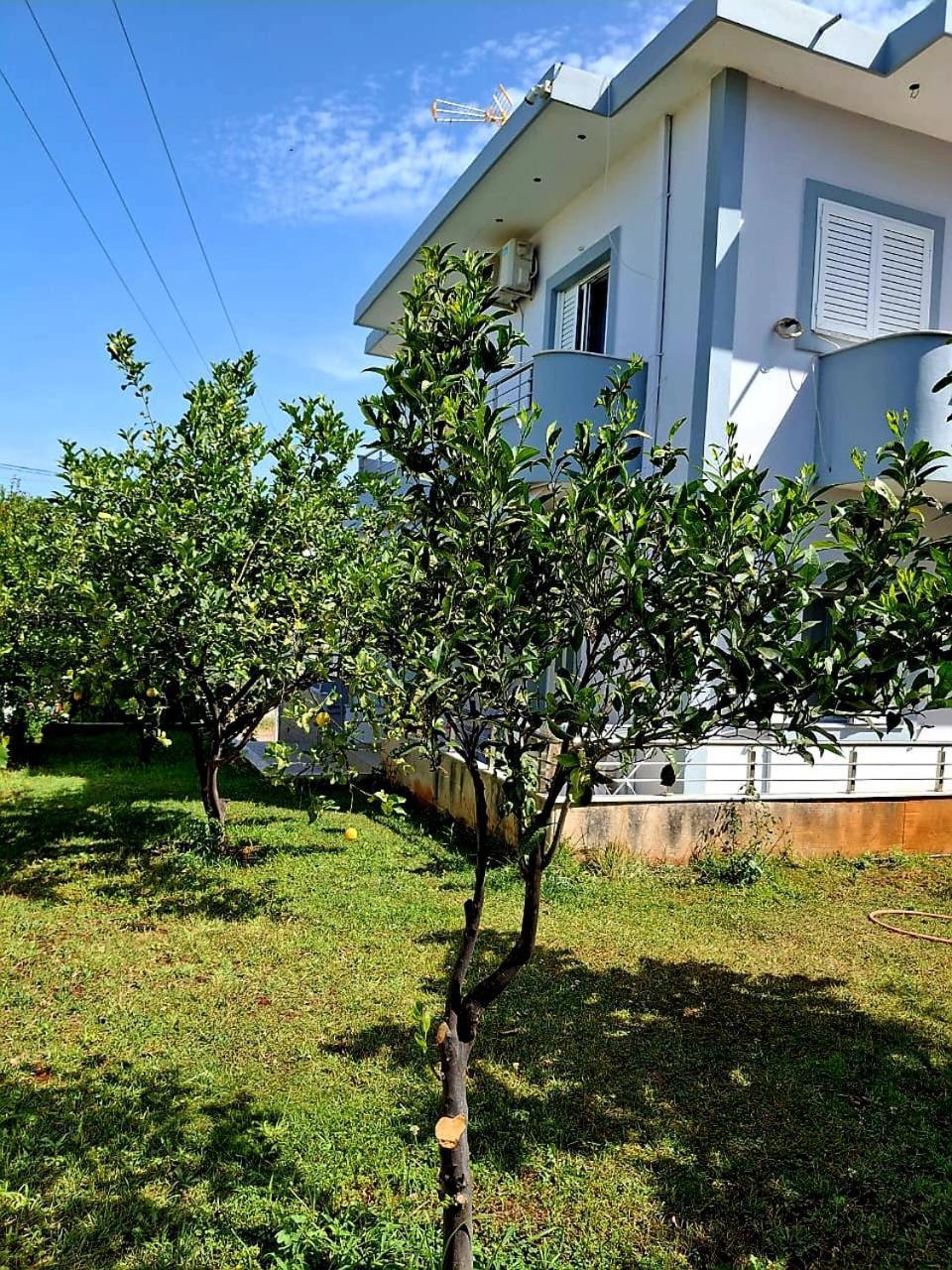 Myksamil Apartments Exterior photo